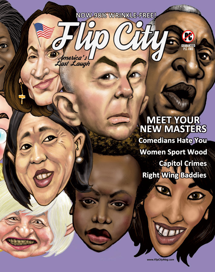 Flip City ISSUE #5 PRINT